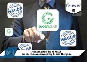 Phân biệt Global Gap và HACCP