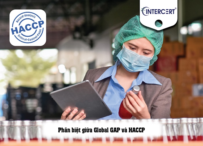 Phân biệt Global Gap và HACCP