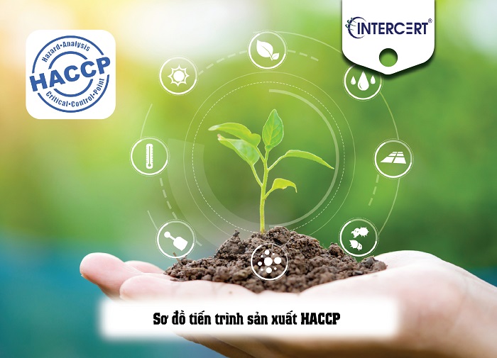 Sơ đồ khối của HACCP