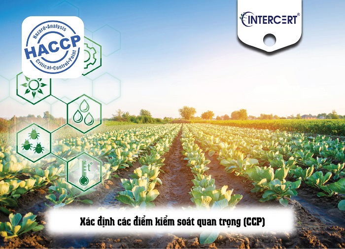 Sơ đồ khối của HACCP