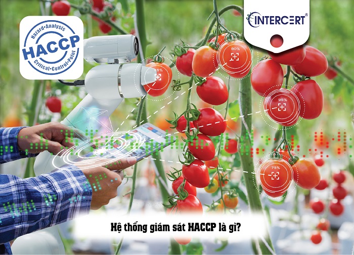 thiết lập hệ thống haccp