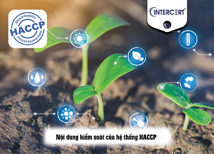 thiết lập hệ thống haccp