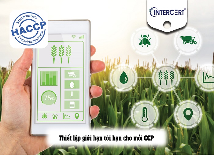 thiết lập hệ thống haccp