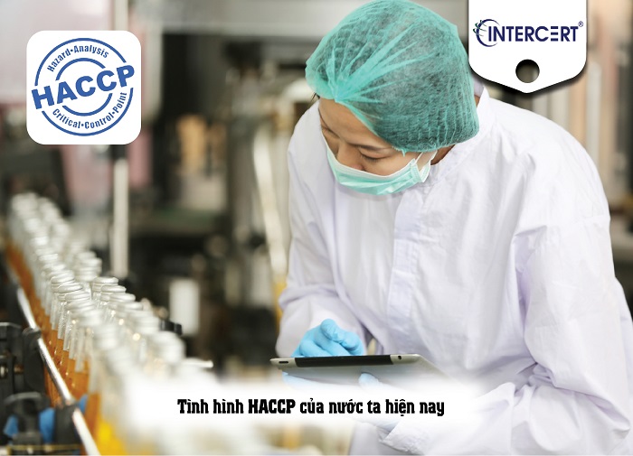 thực trạng áp dụng haccp