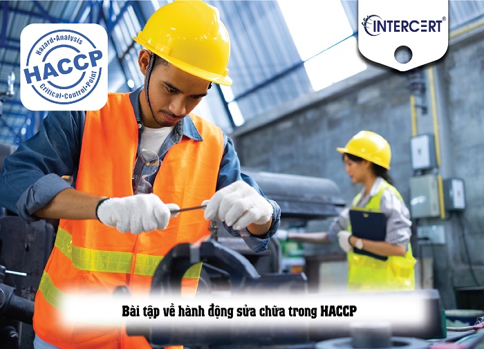 bài tập haccp