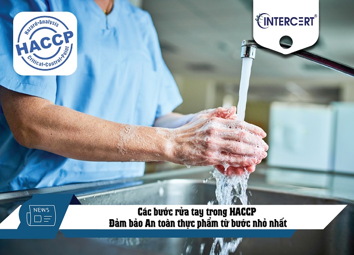 các bước rửa tay tong haccp