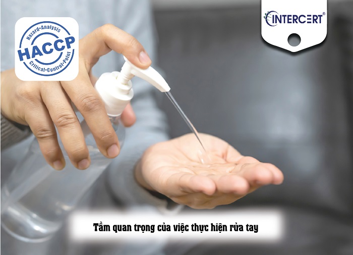 các bước rửa tay tong haccp