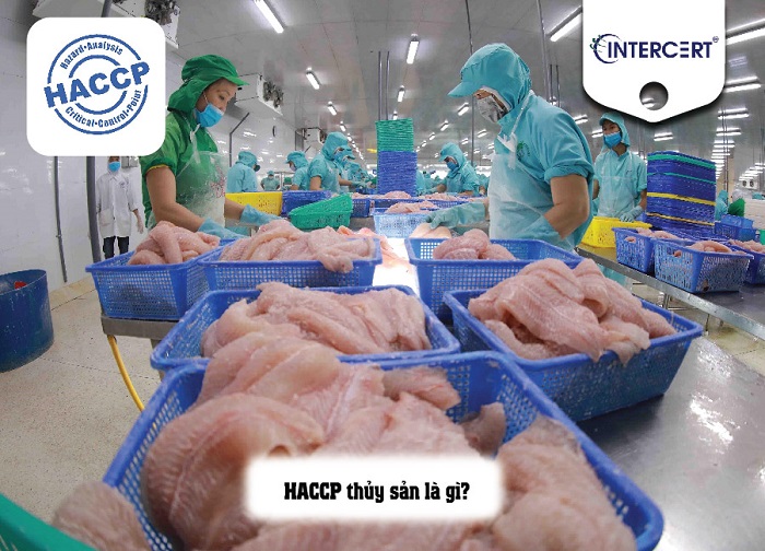 khái quát về HACCP thủy sản