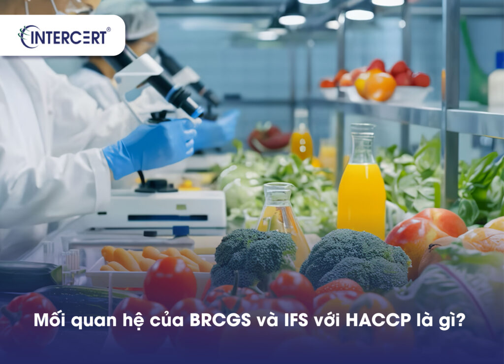 Chứng nhận BRCGS và IFS có thay thế HACCP được không