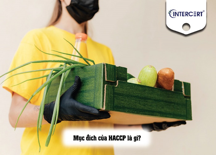 mục đích của haccp