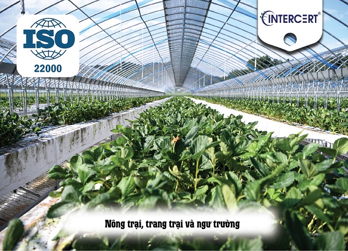 Đối tượng Áp dụng ISO 22000