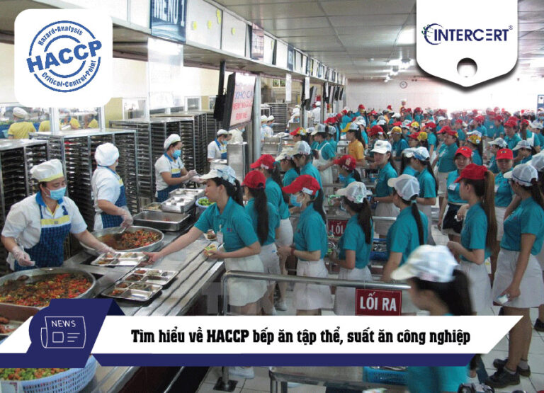 HACCP bếp ăn tập thể