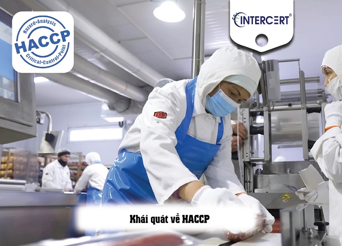 xây dựng HACCP