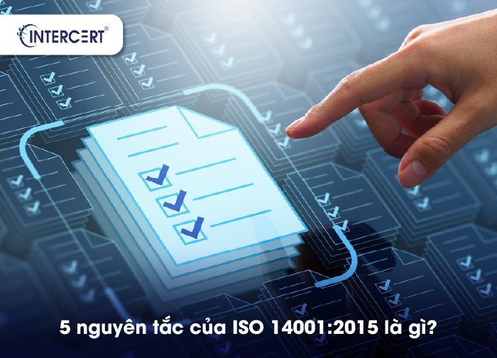 5 NGUYÊN TẮC CỦA ISO 14001:2015 NỀN TẢNG CHO EMS