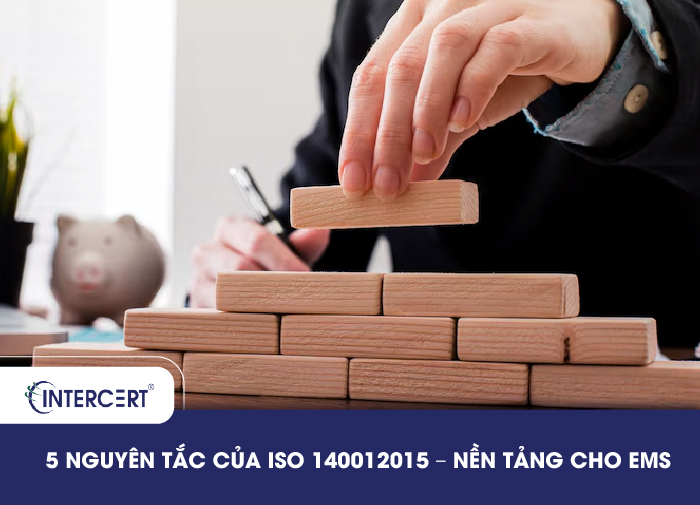 5 NGUYÊN TẮC CỦA ISO 14001:2015 NỀN TẢNG CHO EMS