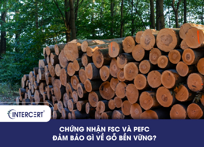 Chứng nhận FSC và PEFC đảm bảo gì về gỗ bền vững