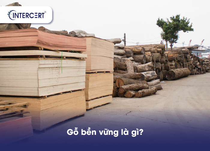 Chứng nhận FSC và PEFC đảm bảo gì về gỗ bền vững