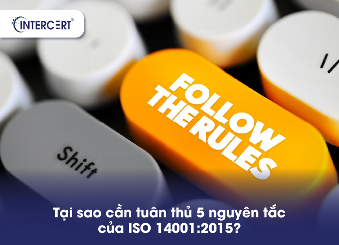 5 NGUYÊN TẮC CỦA ISO 14001:2015 NỀN TẢNG CHO EMS