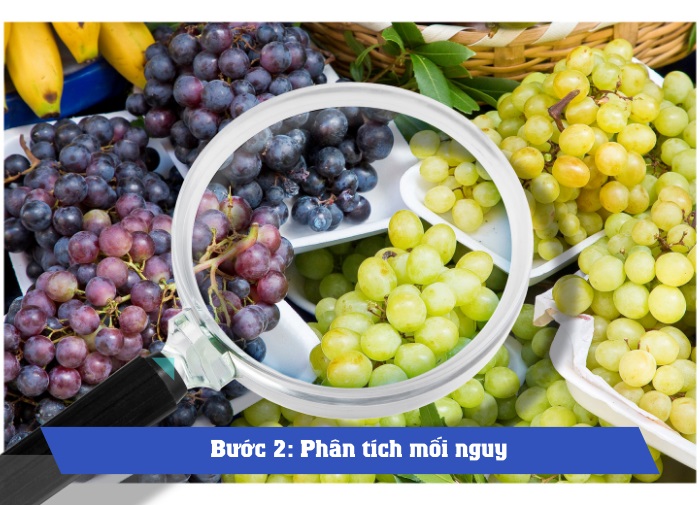 Bảng tổng hợp kế hoạch HACCP
