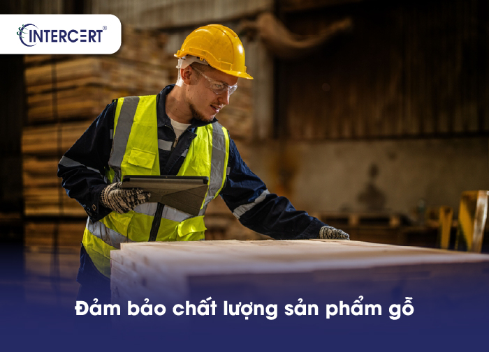 Chứng nhận FSC và PEFC đảm bảo gì về gỗ bền vững