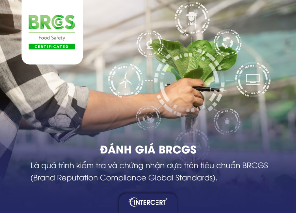 Đánh giá BRCGS