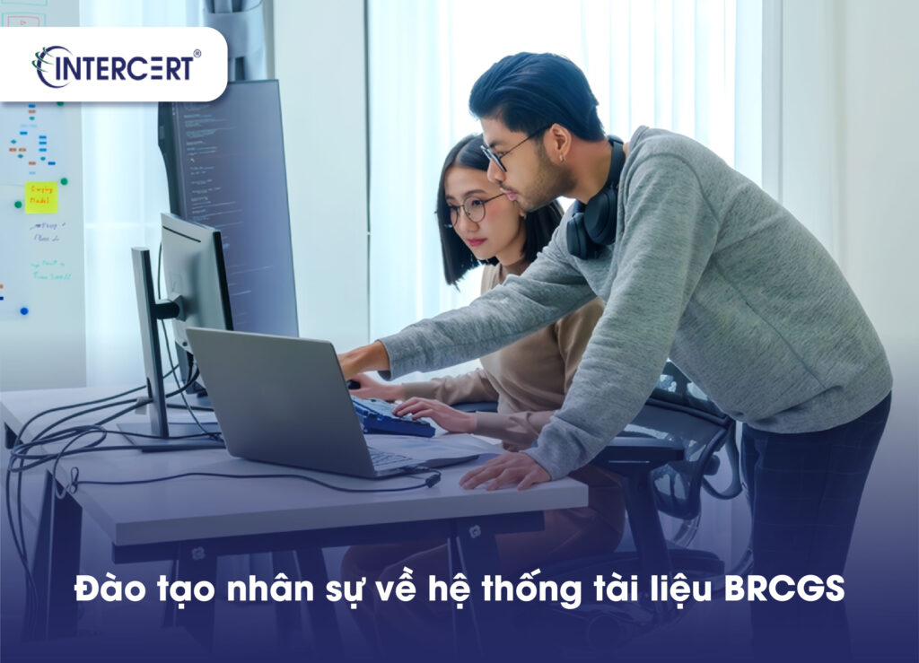 Hồ sơ BRCGS là gì? Hướng dẫn xây dựng hệ thống tài liệu BRCGS