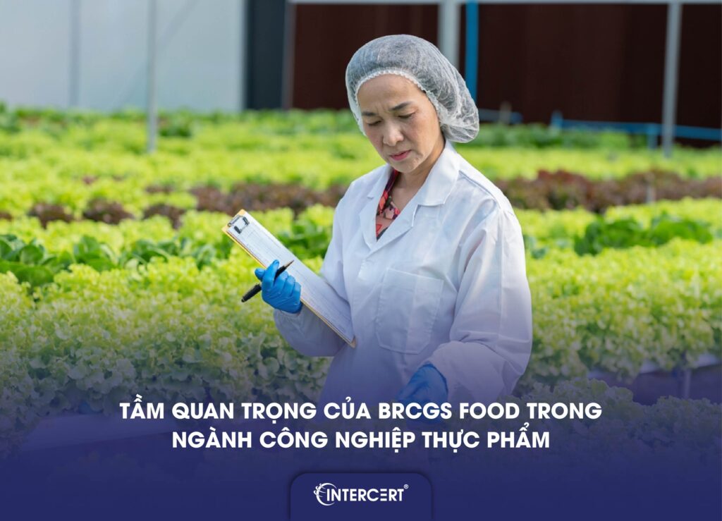 Thay đổi quan trọng của tiêu chuẩn BRCGS phiên bản 9