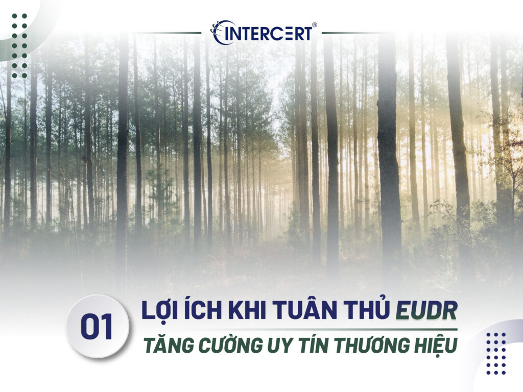 Lợi ích khi tuân thủ EUDR