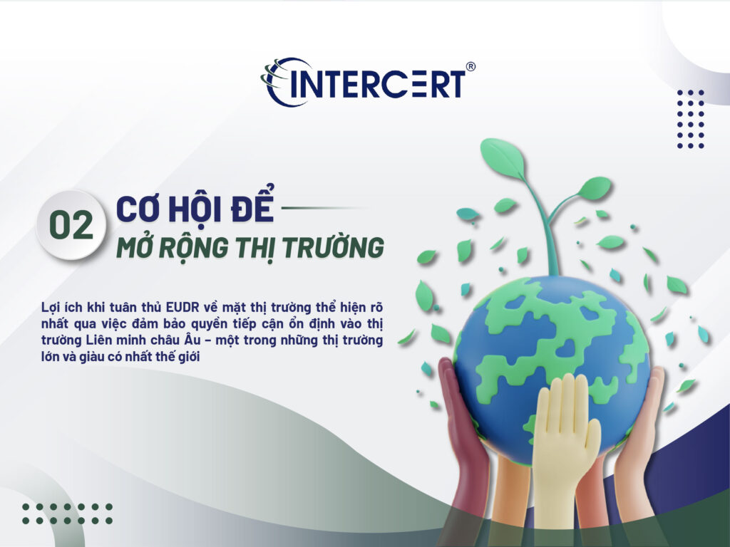 Lợi ích khi tuân thủ EUDR