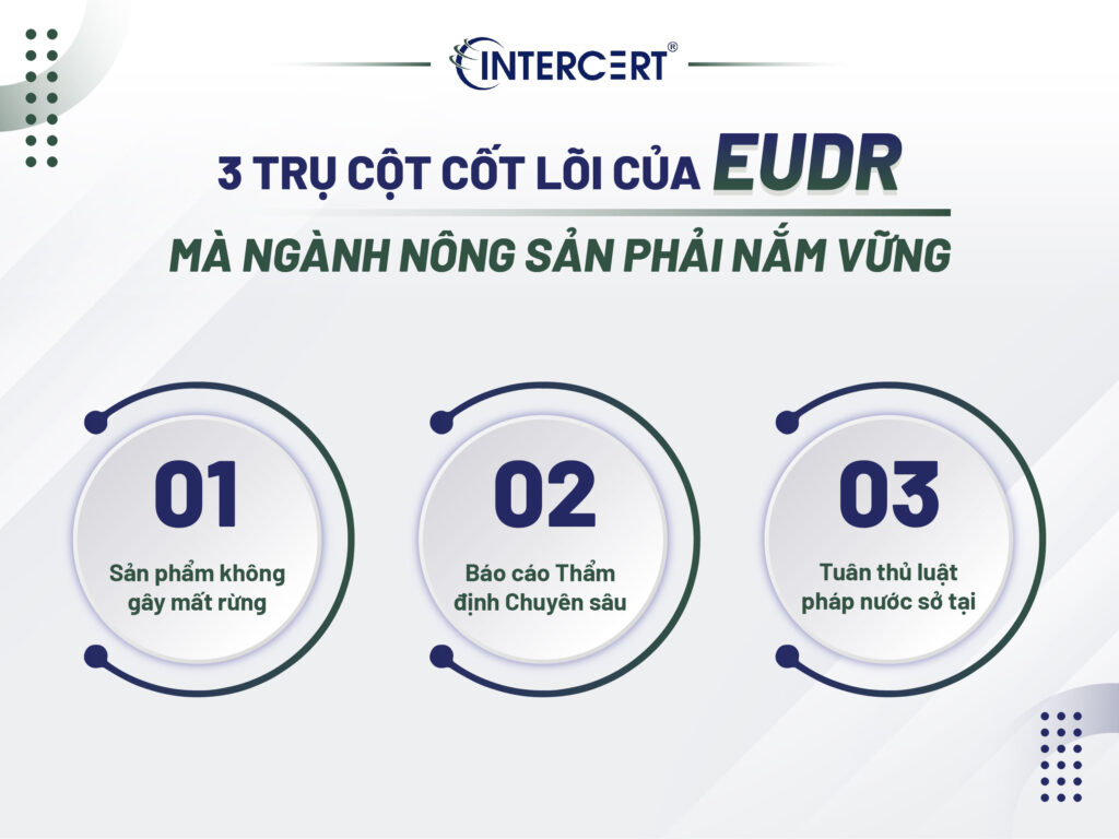 Ảnh hưởng của EUDR đến ngành nông sản
