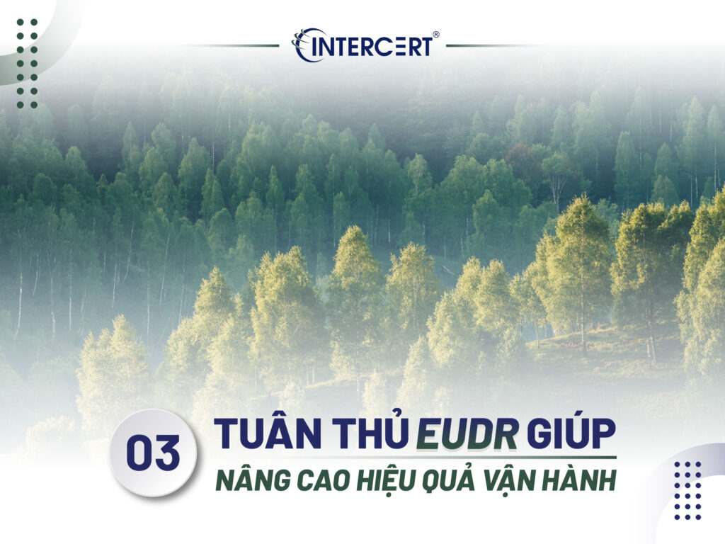 Lợi ích khi tuân thủ EUDR