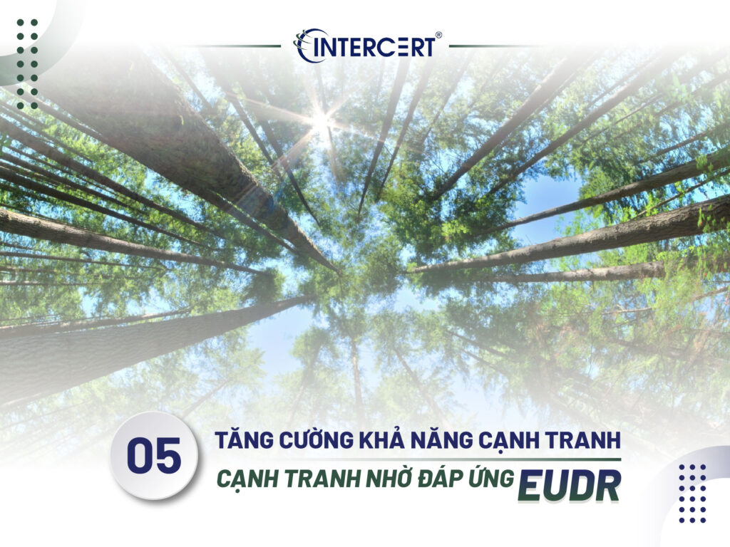 Lợi ích khi tuân thủ EUDR