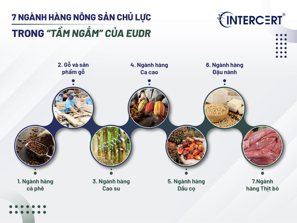 Ảnh hưởng của EUDR đến ngành nông sản