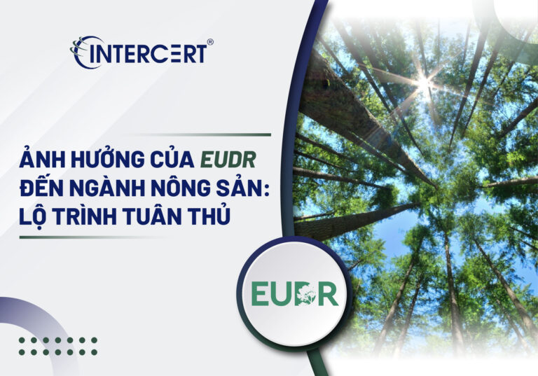 Ảnh hưởng của EUDR đến ngành nông sản