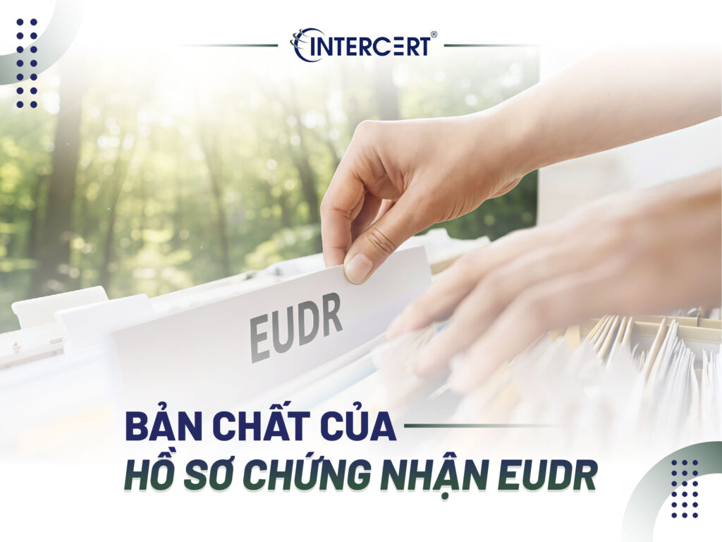 Hồ sơ chứng nhận EUDR
