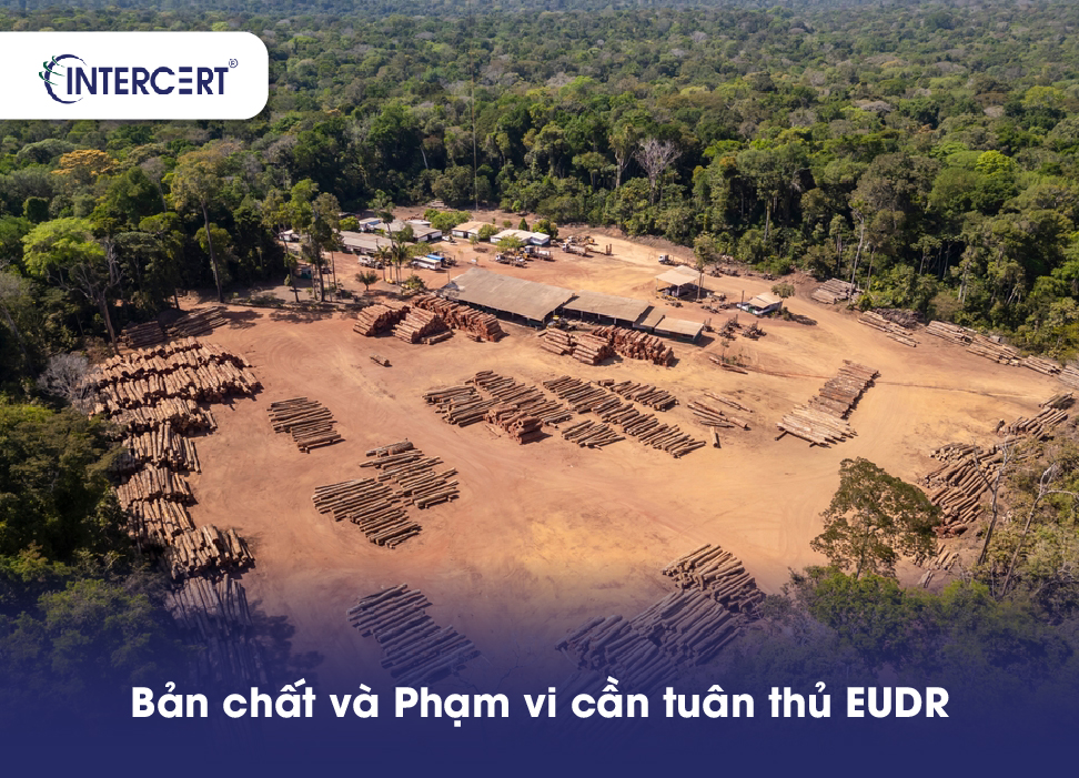 Tuân thủ EUDR