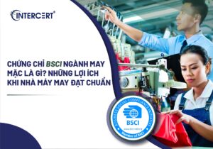 Chứng chỉ BSCI ngành may mặc