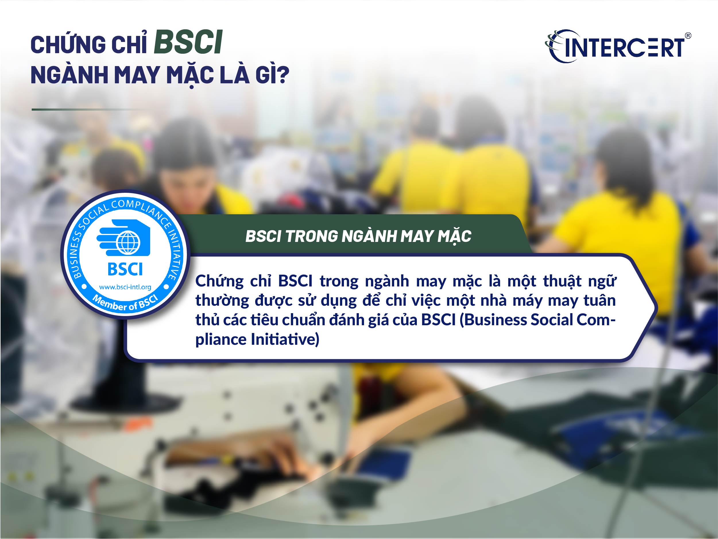 Chứng chỉ BSCI ngành may mặc