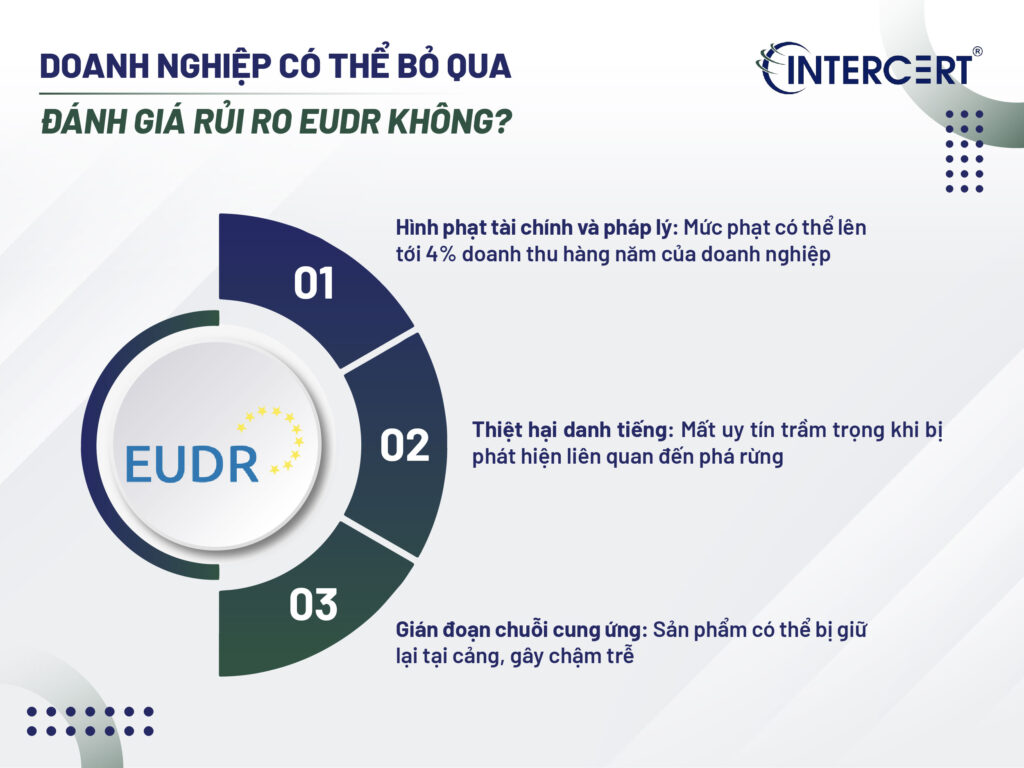 Đánh giá Rủi ro EUDR