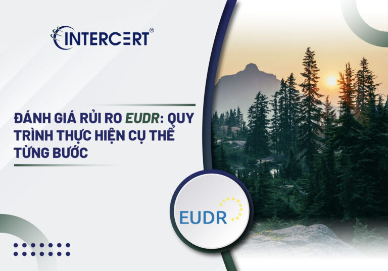 Đánh giá Rủi ro EUDR