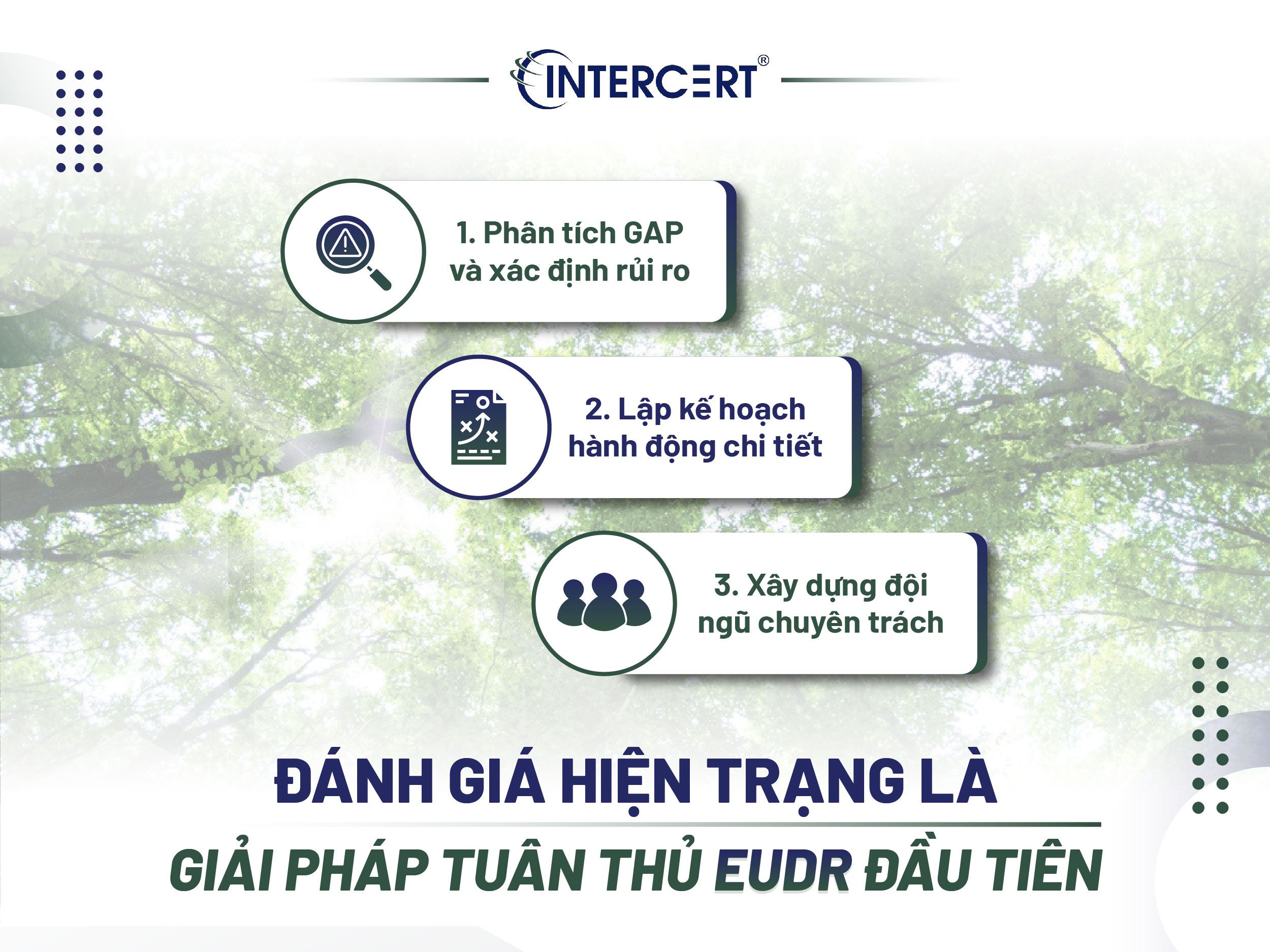 Giải pháp tuân thủ EUDR