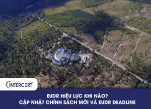 EUDR hiệu lực khi nào