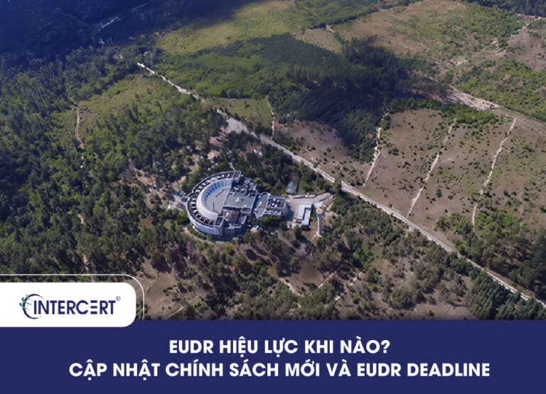 EUDR hiệu lực khi nào