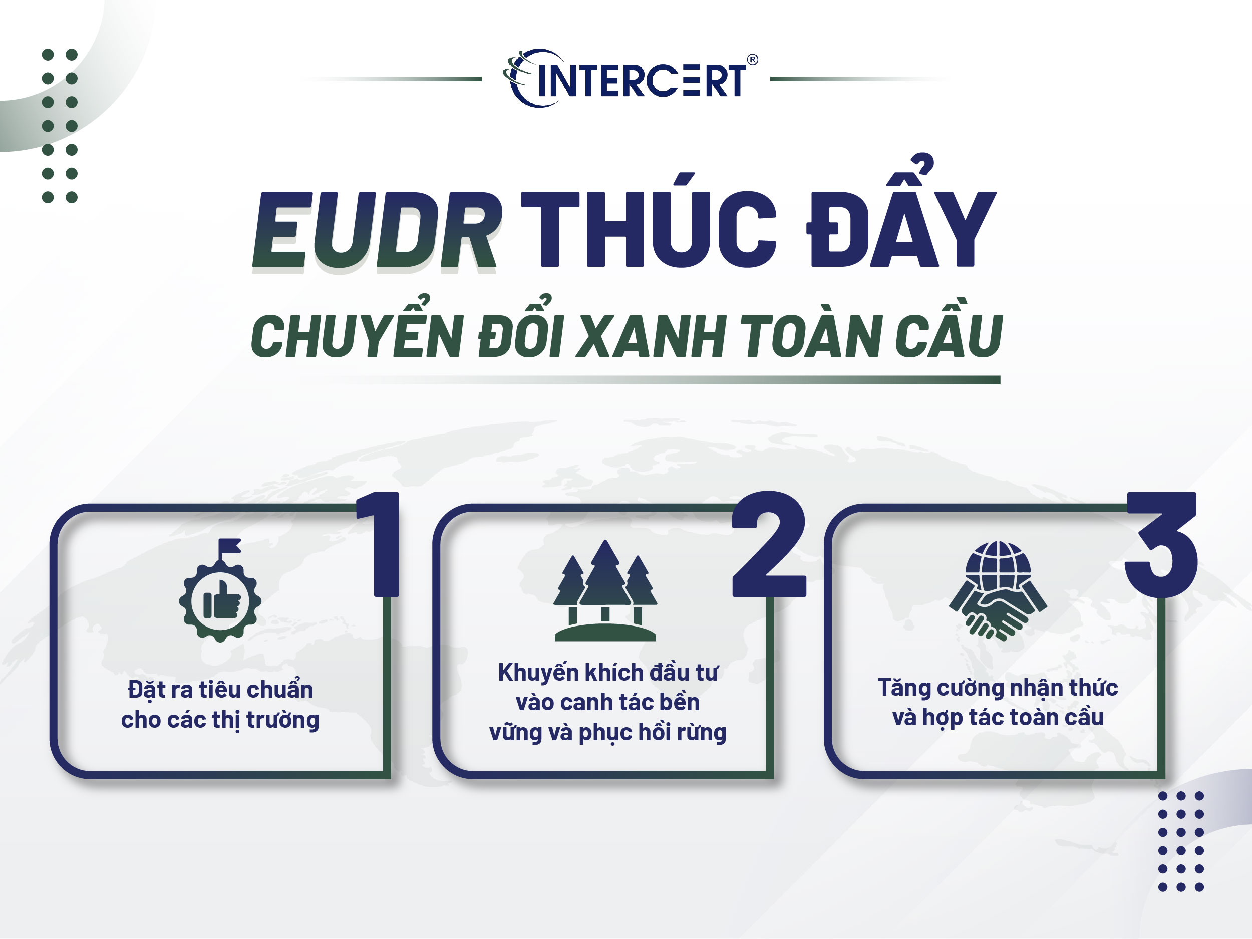 EUDR và Bảo vệ môi trường