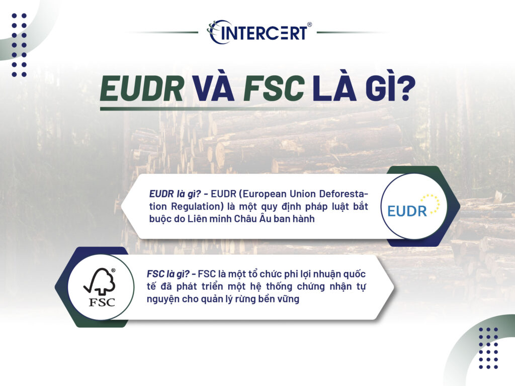 EUDR và FSC là gì