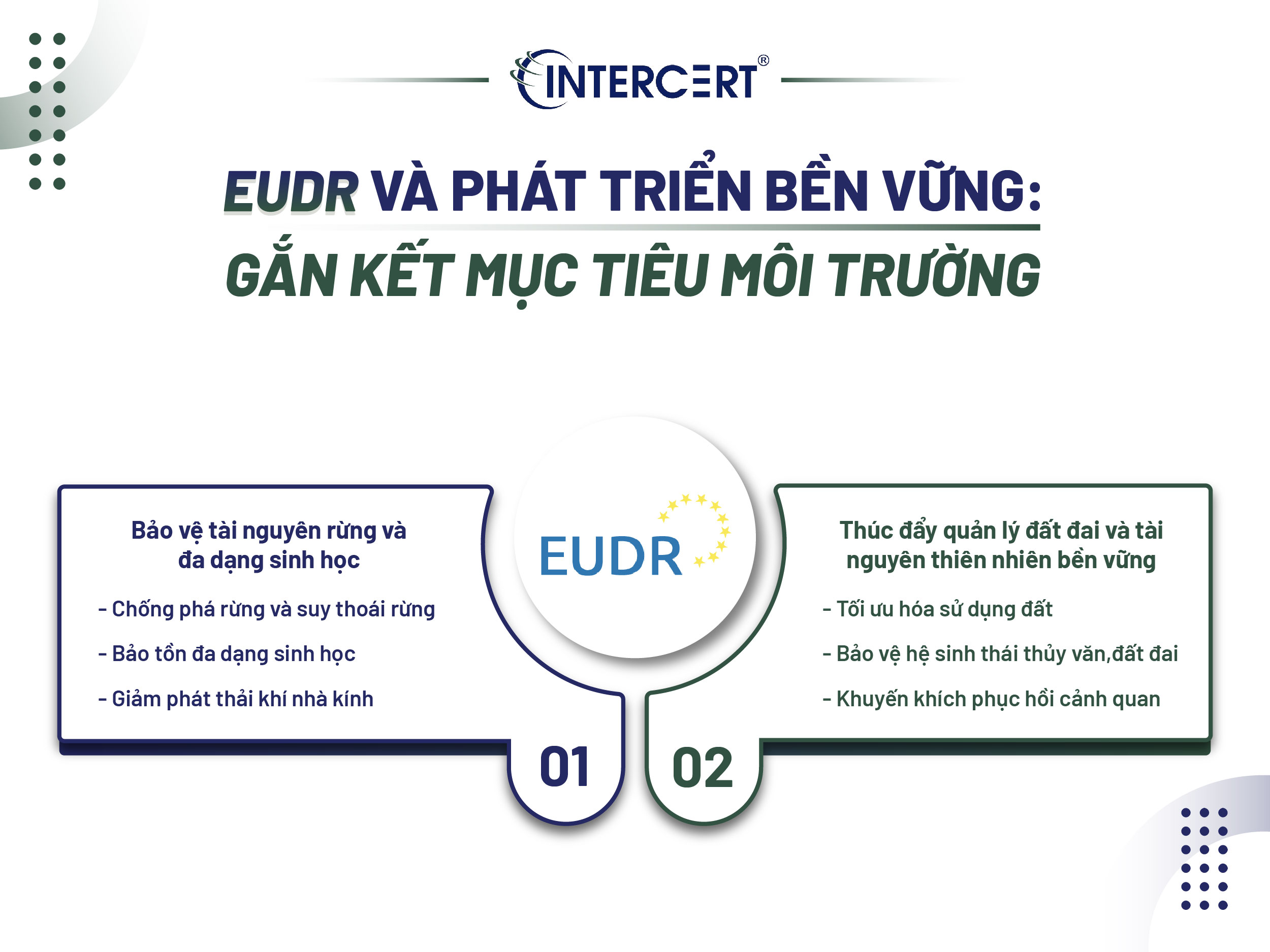 Mối liên hệ giữa EUDR và Phát triển bền vững là gì