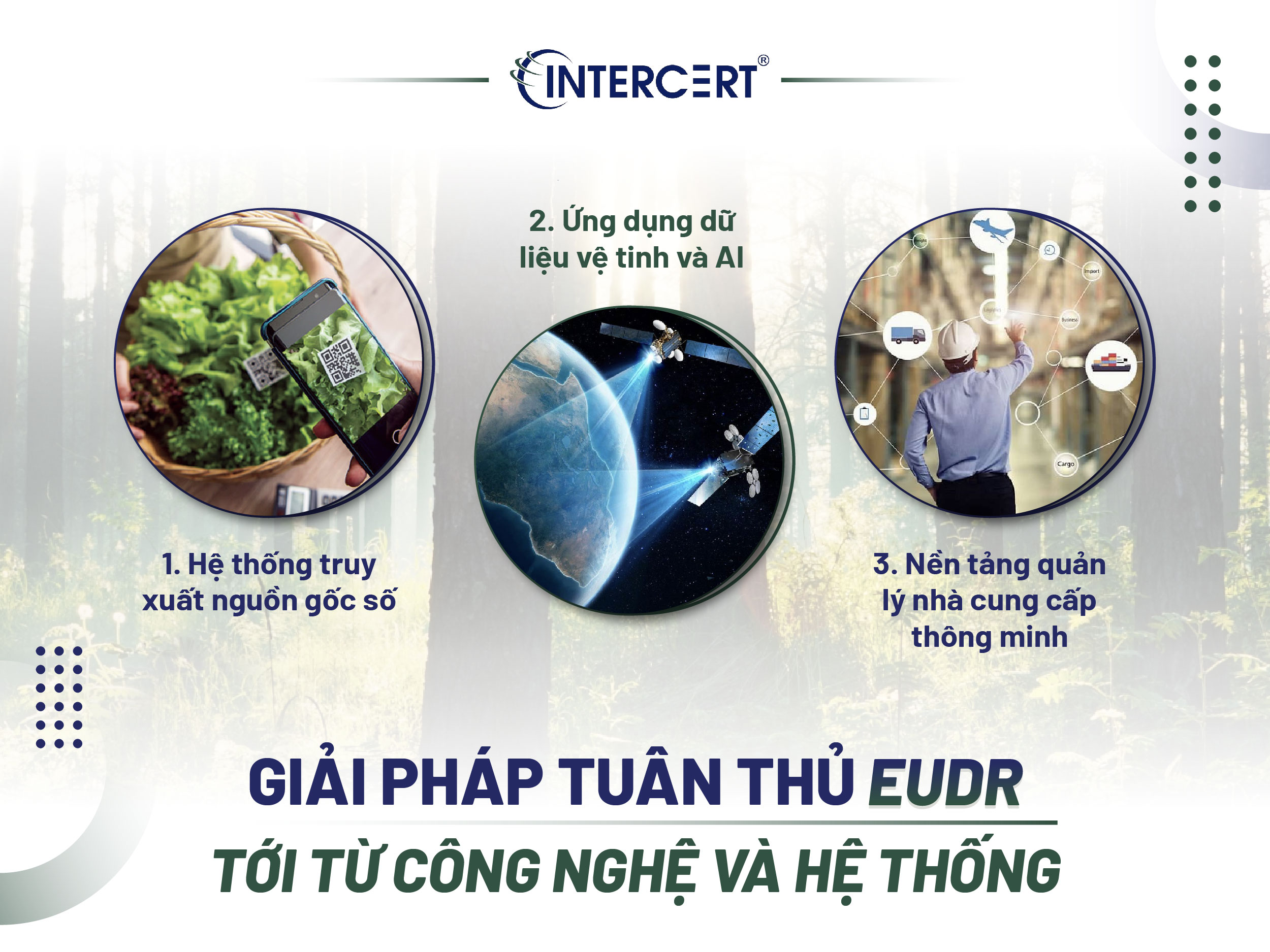 Giải pháp tuân thủ EUDR