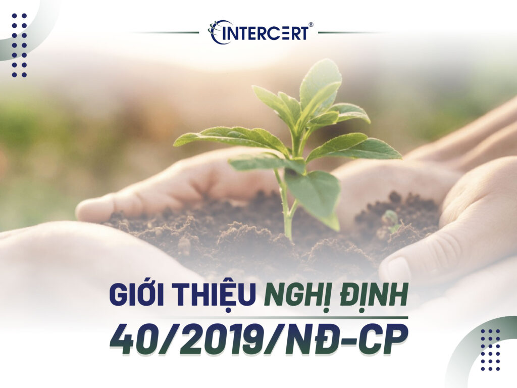 Xây dựng Hệ thống quản lý môi trường