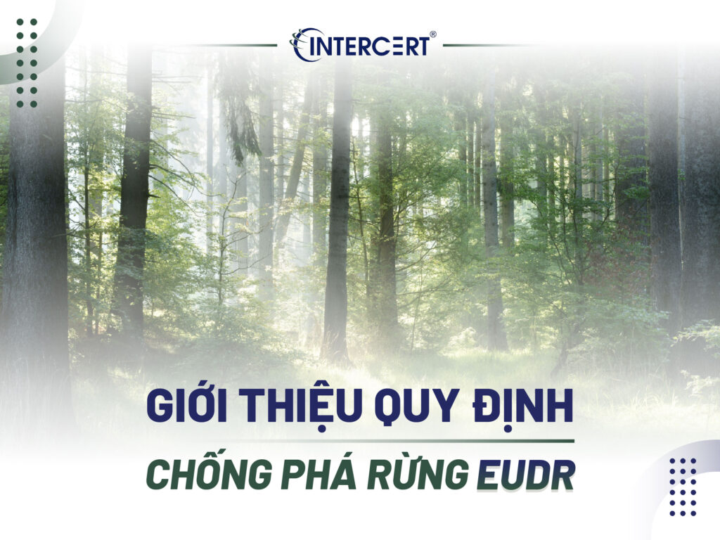 Ảnh hưởng của EUDR đến ngành nông sản