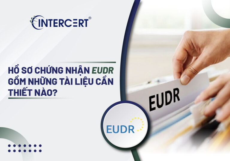 Hồ sơ chứng nhận EUDR